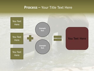 Animal Giant Impressive PowerPoint Template