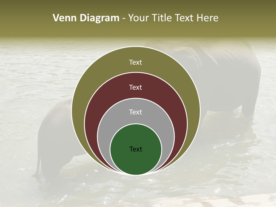 Animal Giant Impressive PowerPoint Template