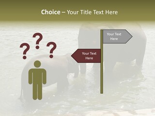 Animal Giant Impressive PowerPoint Template