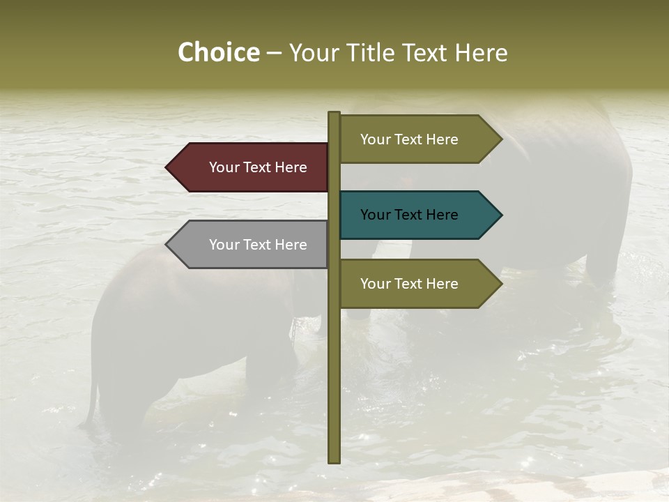 Animal Giant Impressive PowerPoint Template