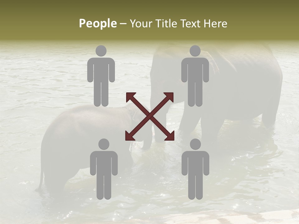 Animal Giant Impressive PowerPoint Template