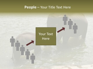 Animal Giant Impressive PowerPoint Template