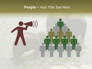 Animal Giant Impressive PowerPoint Template