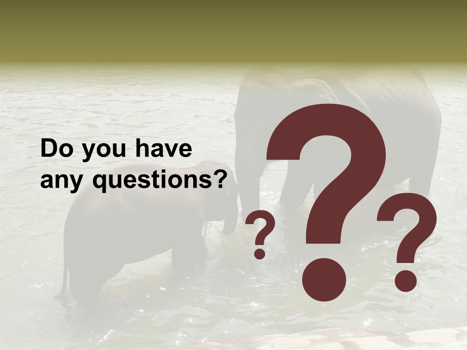 Animal Giant Impressive PowerPoint Template