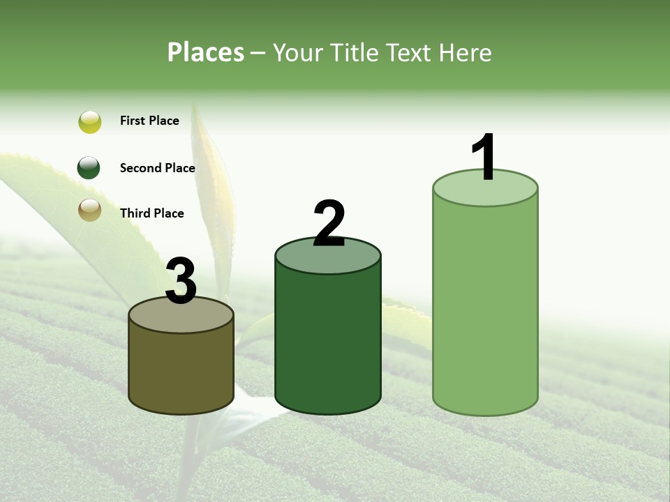 Plant Agriculture Grow PowerPoint Template