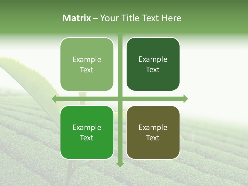 Plant Agriculture Grow PowerPoint Template