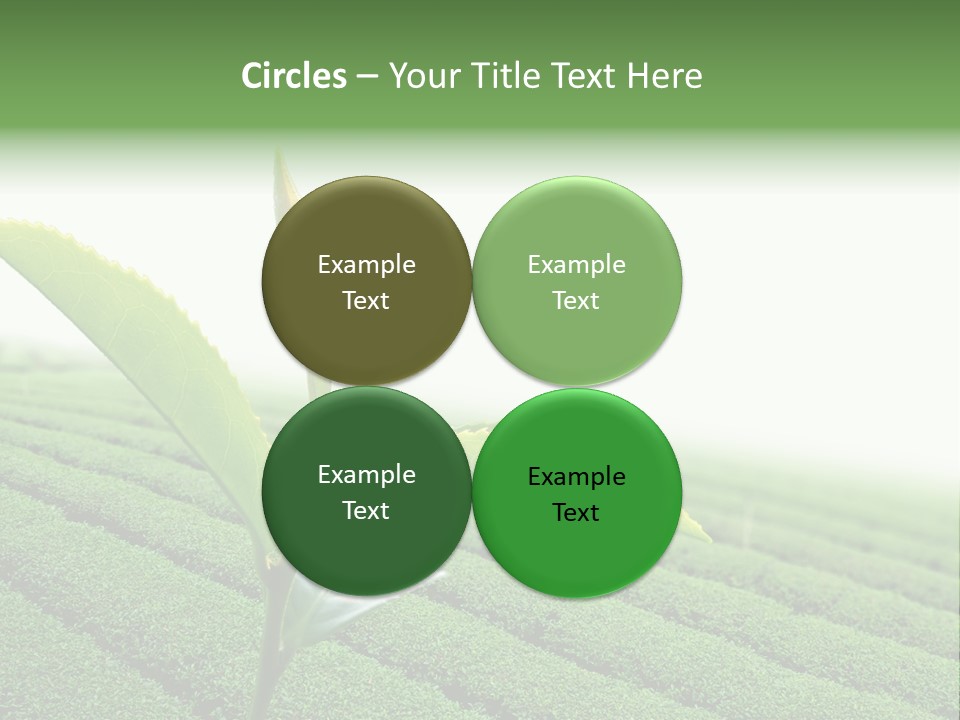 Plant Agriculture Grow PowerPoint Template