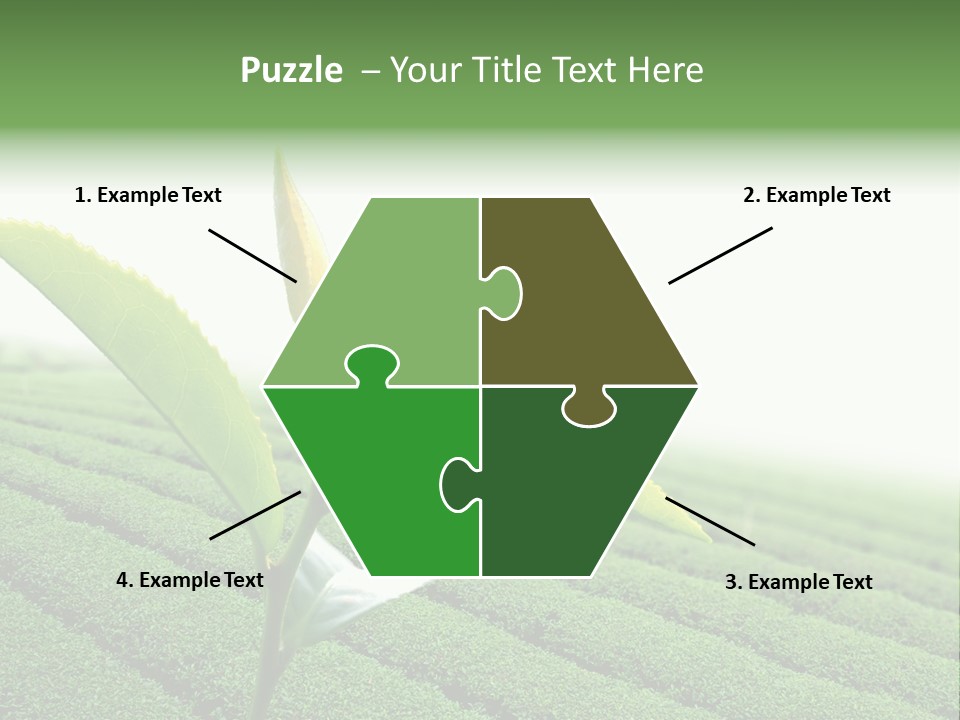 Plant Agriculture Grow PowerPoint Template