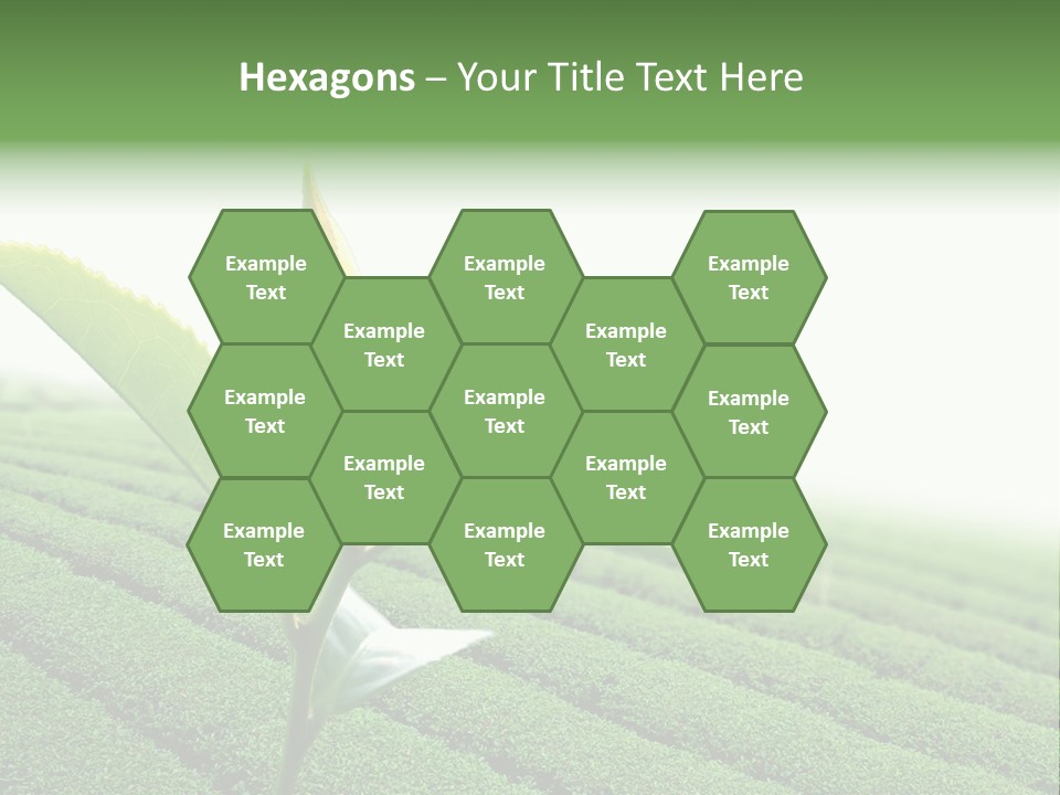 Plant Agriculture Grow PowerPoint Template