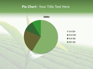 Plant Agriculture Grow PowerPoint Template