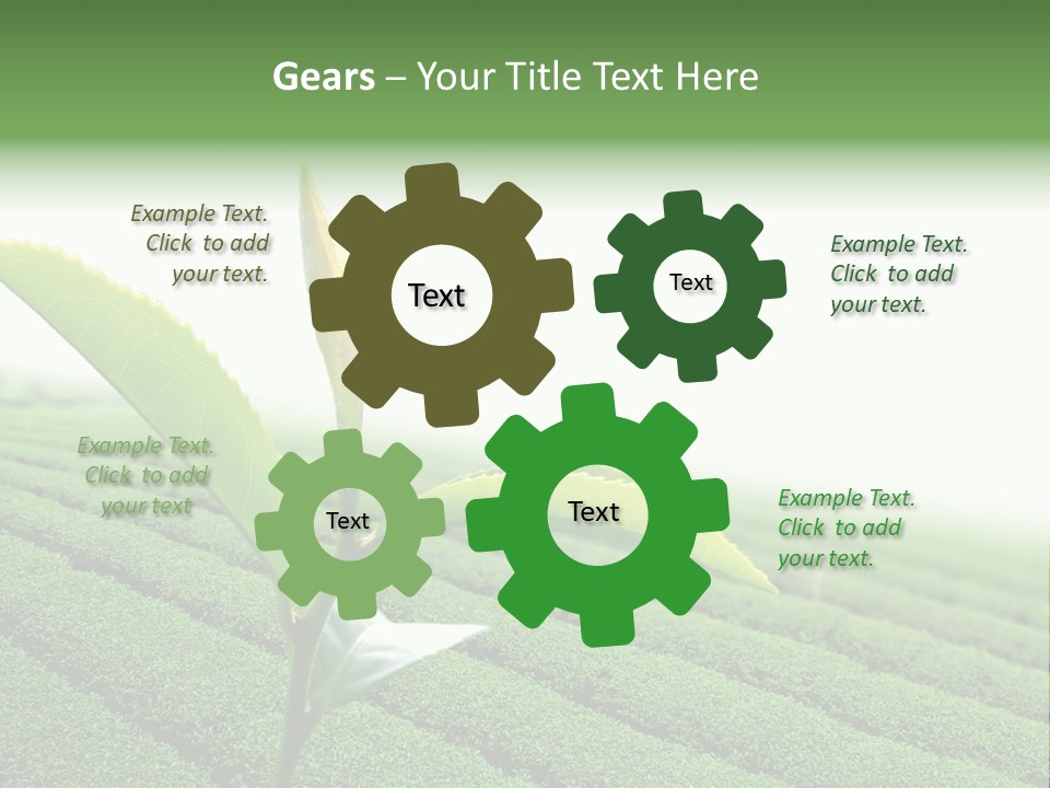 Plant Agriculture Grow PowerPoint Template