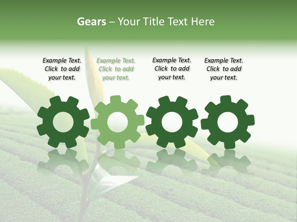 Plant Agriculture Grow PowerPoint Template