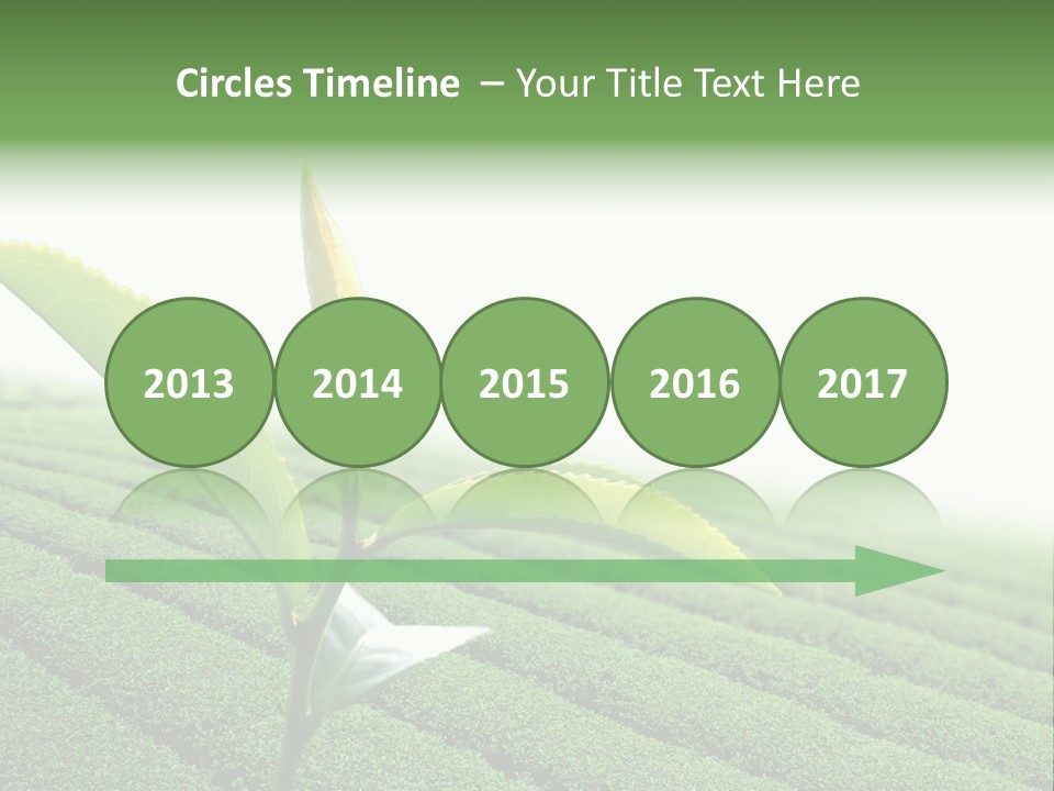 Plant Agriculture Grow PowerPoint Template