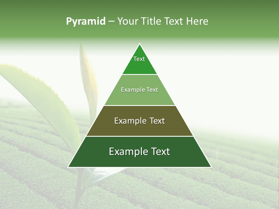 Plant Agriculture Grow PowerPoint Template