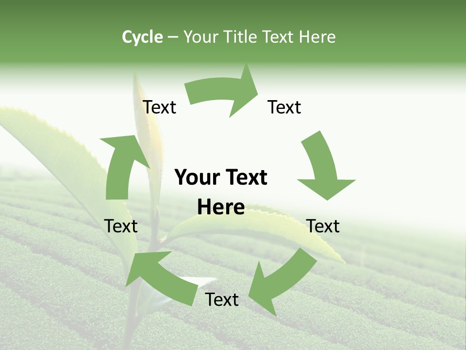 Plant Agriculture Grow PowerPoint Template