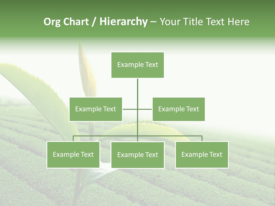 Plant Agriculture Grow PowerPoint Template