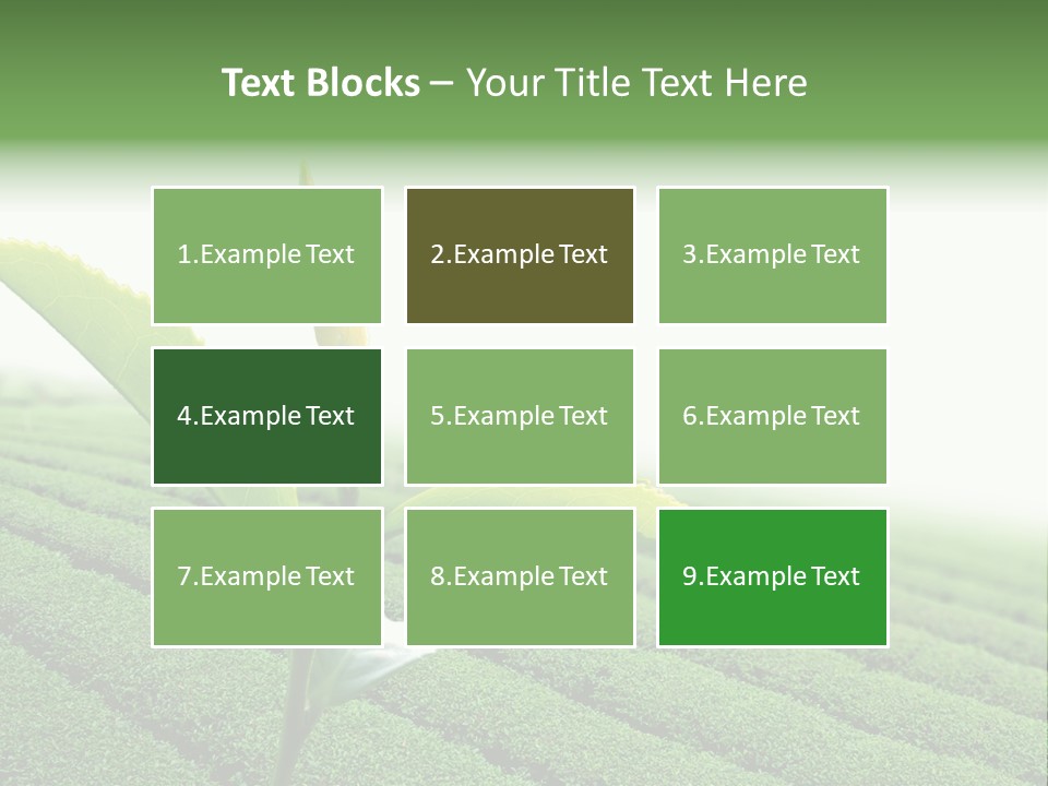 Plant Agriculture Grow PowerPoint Template