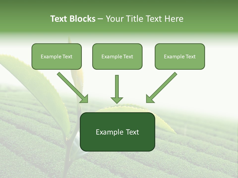 Plant Agriculture Grow PowerPoint Template