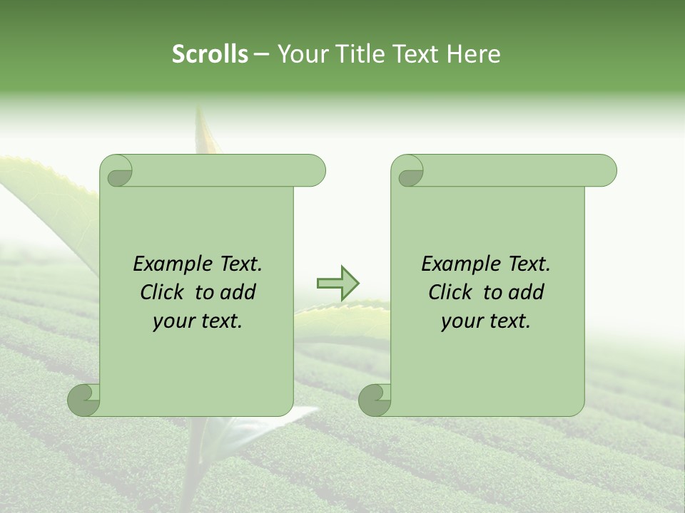 Plant Agriculture Grow PowerPoint Template