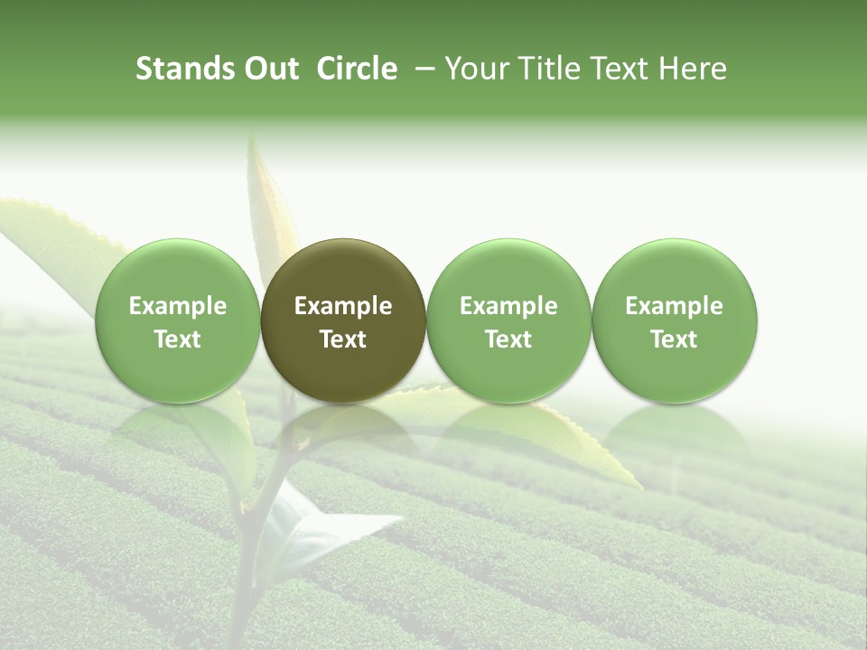 Plant Agriculture Grow PowerPoint Template