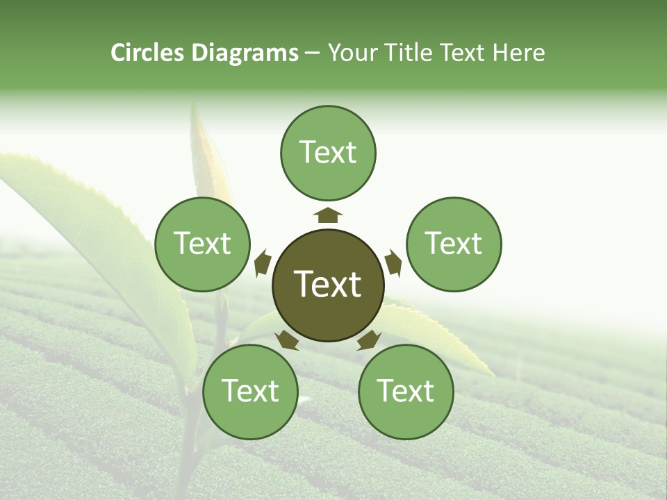Plant Agriculture Grow PowerPoint Template