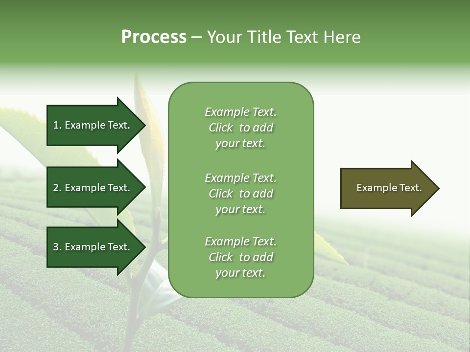 Plant Agriculture Grow PowerPoint Template