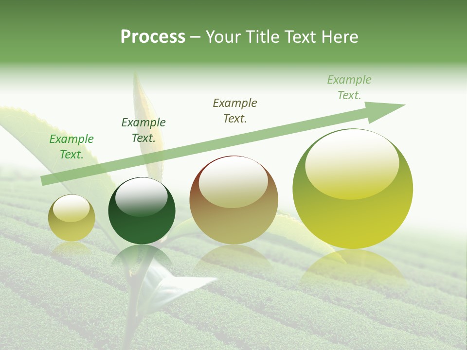 Plant Agriculture Grow PowerPoint Template