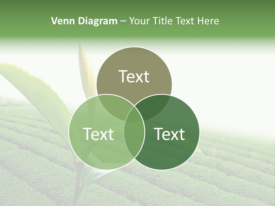 Plant Agriculture Grow PowerPoint Template