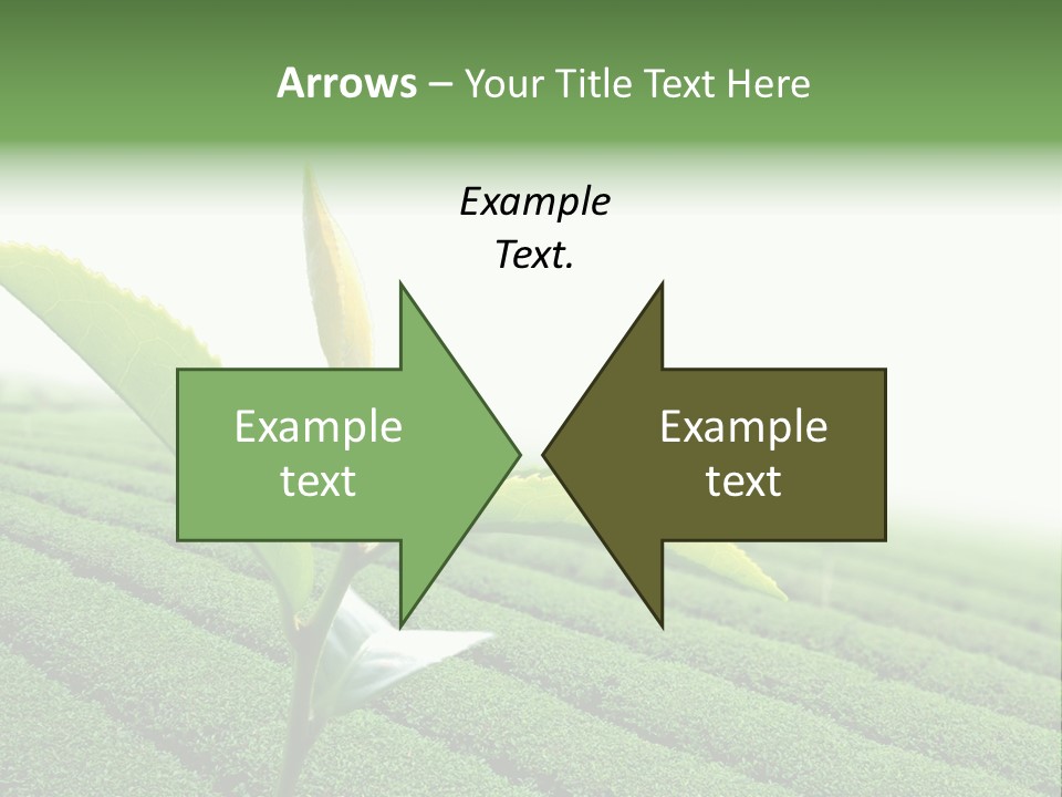 Plant Agriculture Grow PowerPoint Template