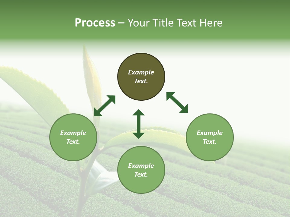 Plant Agriculture Grow PowerPoint Template