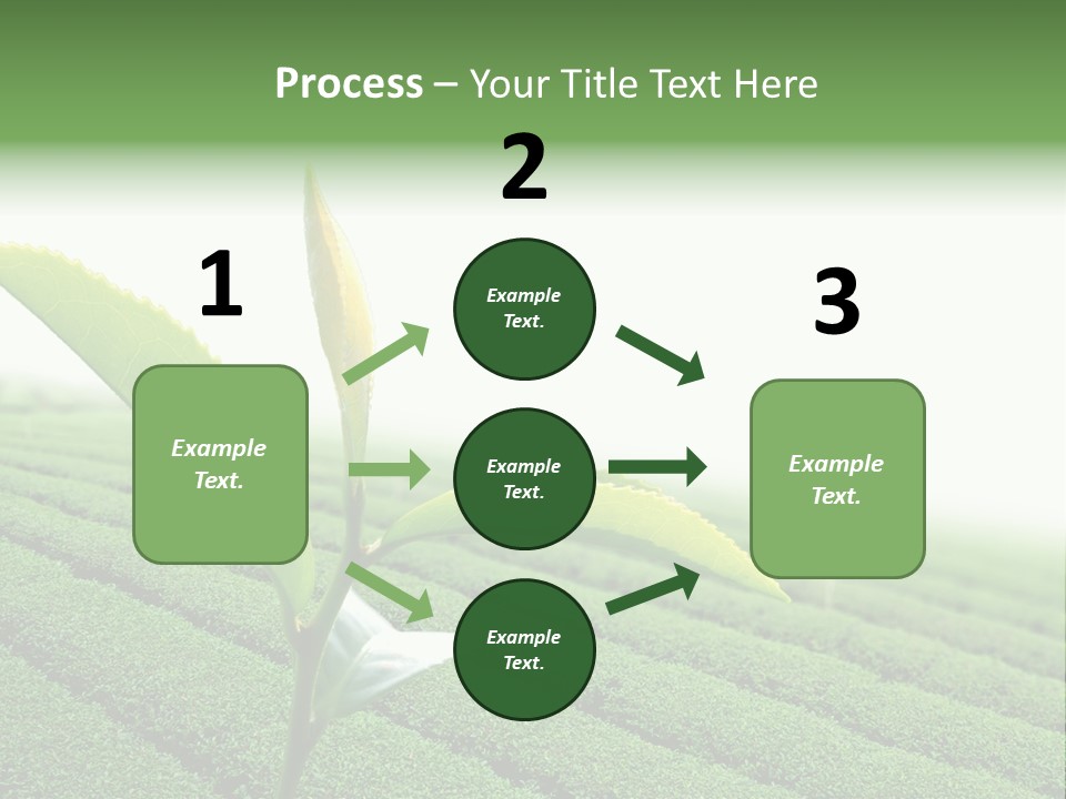 Plant Agriculture Grow PowerPoint Template