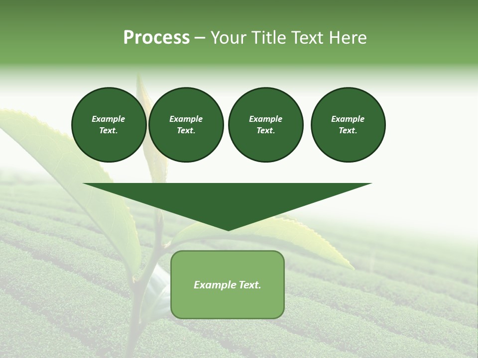 Plant Agriculture Grow PowerPoint Template
