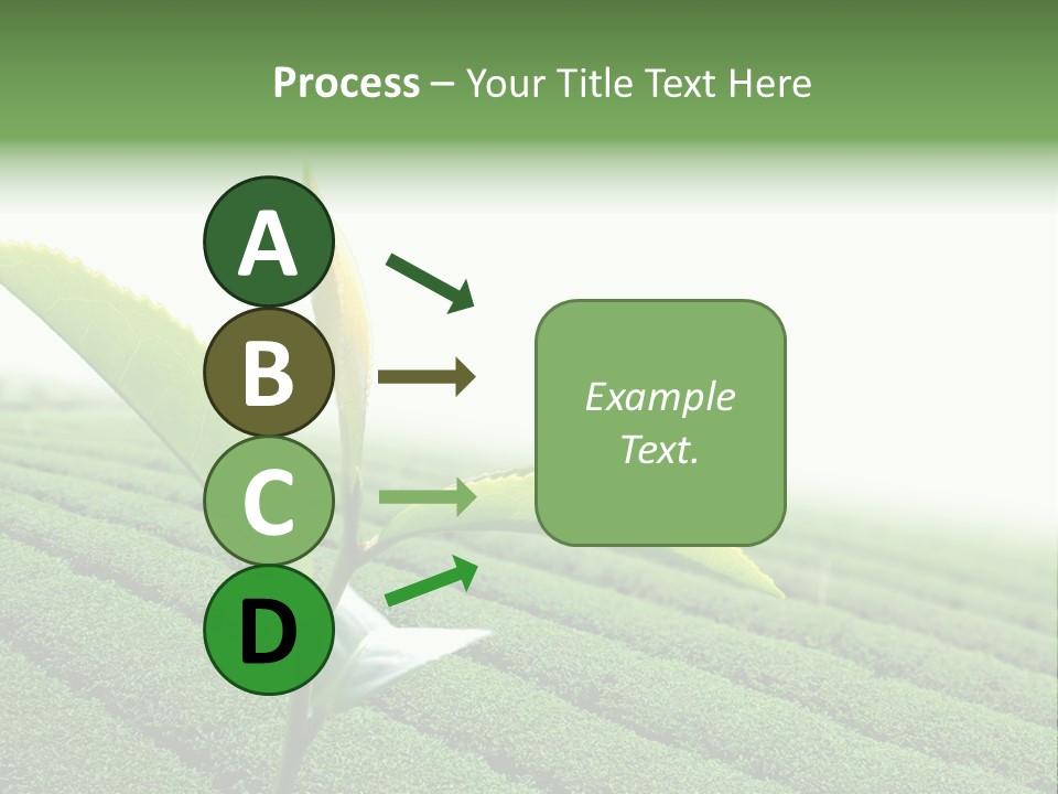 Plant Agriculture Grow PowerPoint Template