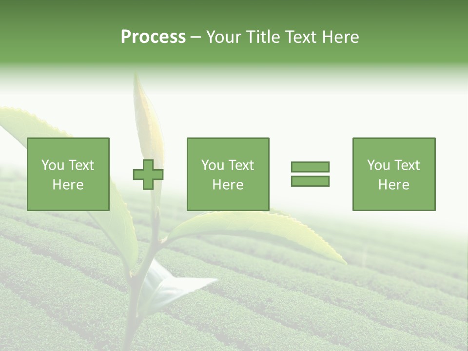 Plant Agriculture Grow PowerPoint Template