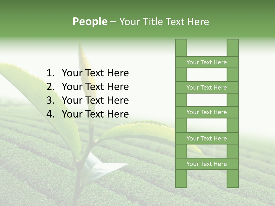 Plant Agriculture Grow PowerPoint Template