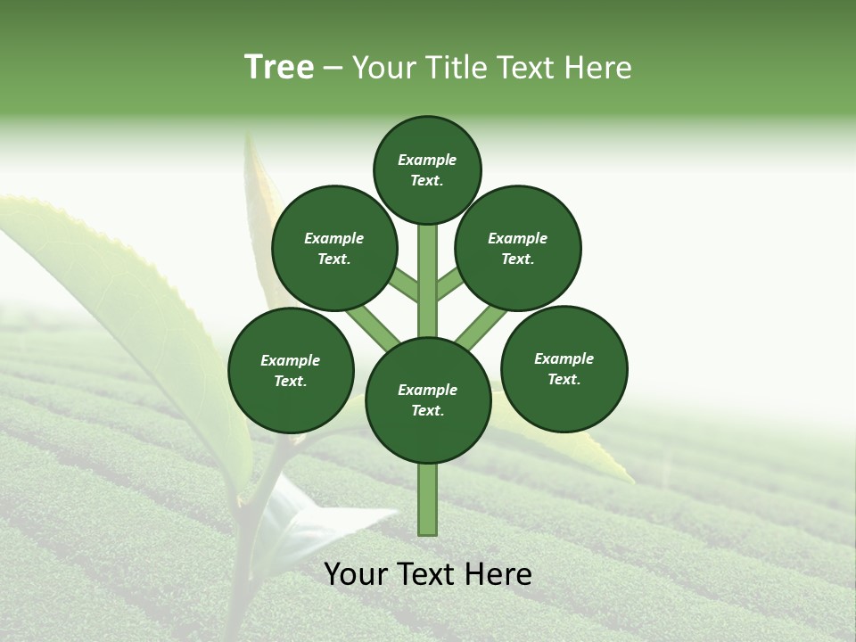 Plant Agriculture Grow PowerPoint Template