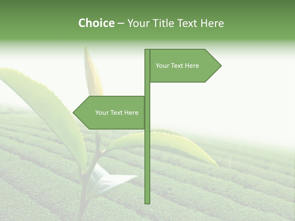 Plant Agriculture Grow PowerPoint Template