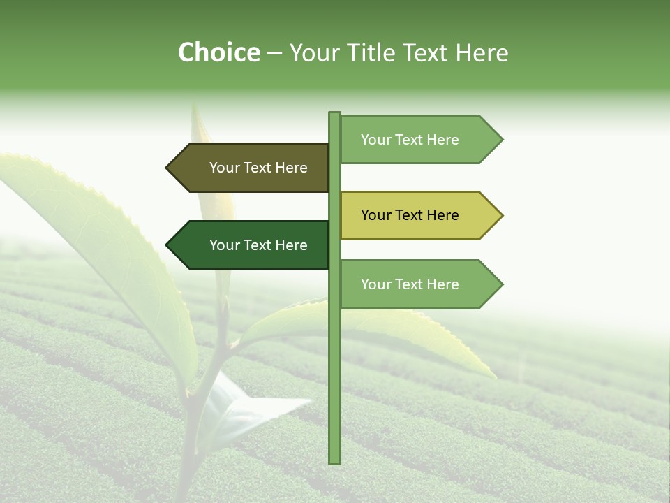 Plant Agriculture Grow PowerPoint Template