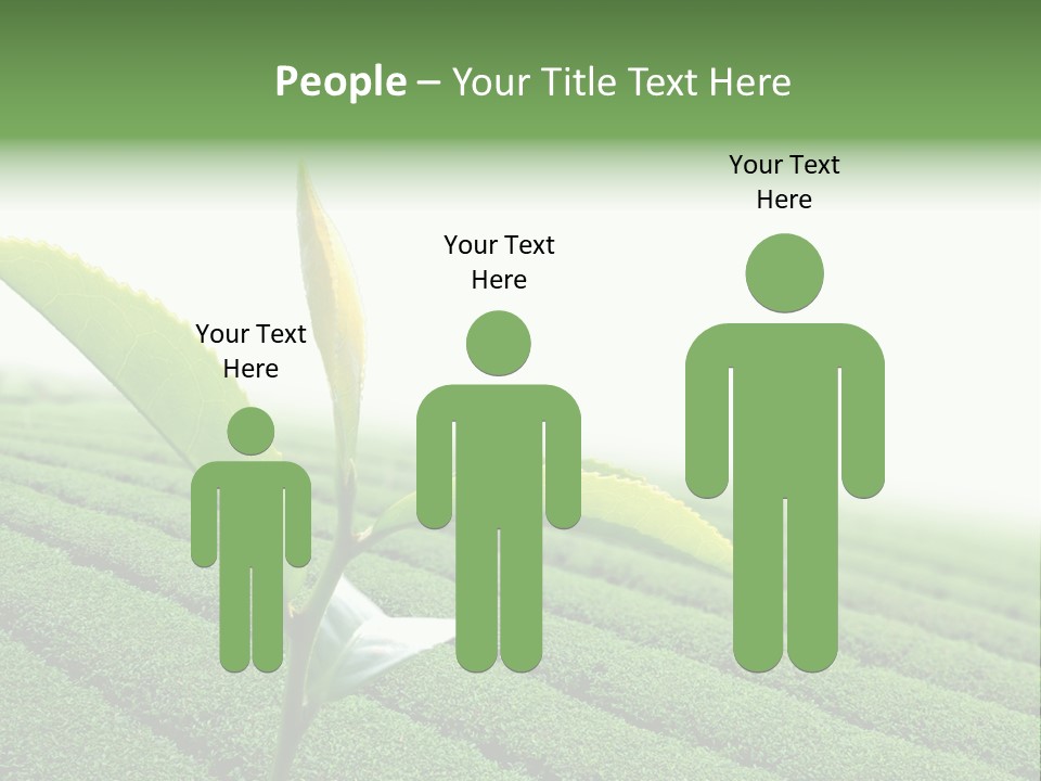 Plant Agriculture Grow PowerPoint Template