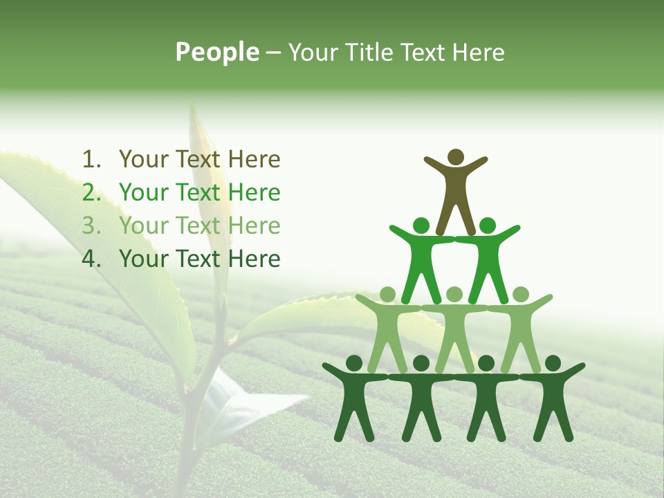 Plant Agriculture Grow PowerPoint Template