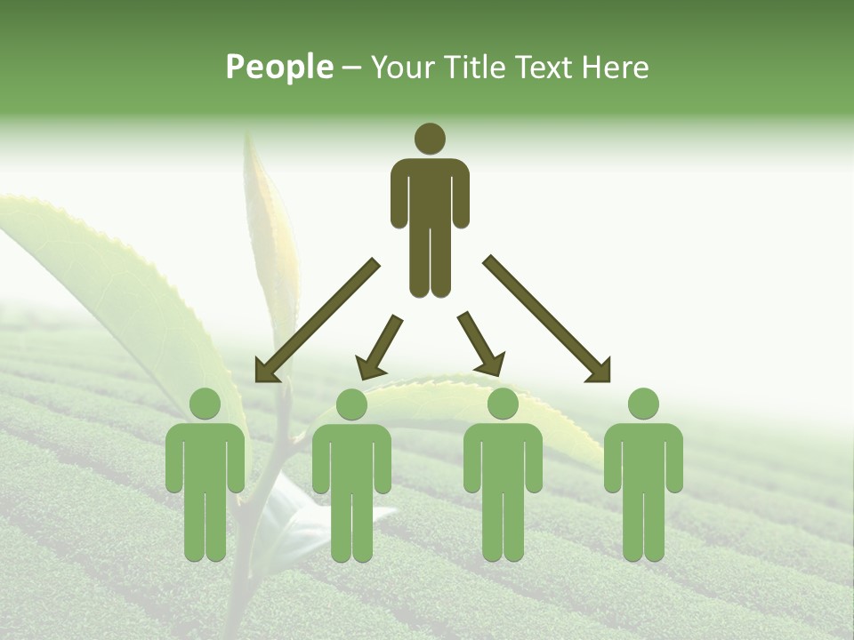 Plant Agriculture Grow PowerPoint Template