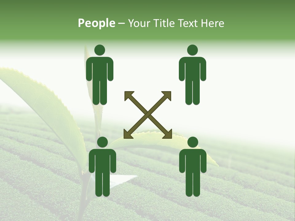 Plant Agriculture Grow PowerPoint Template