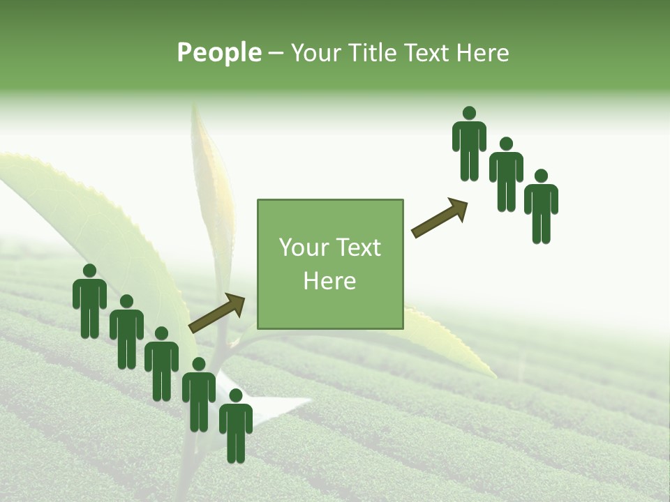 Plant Agriculture Grow PowerPoint Template