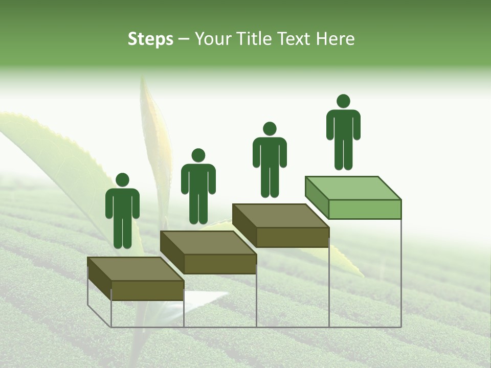 Plant Agriculture Grow PowerPoint Template