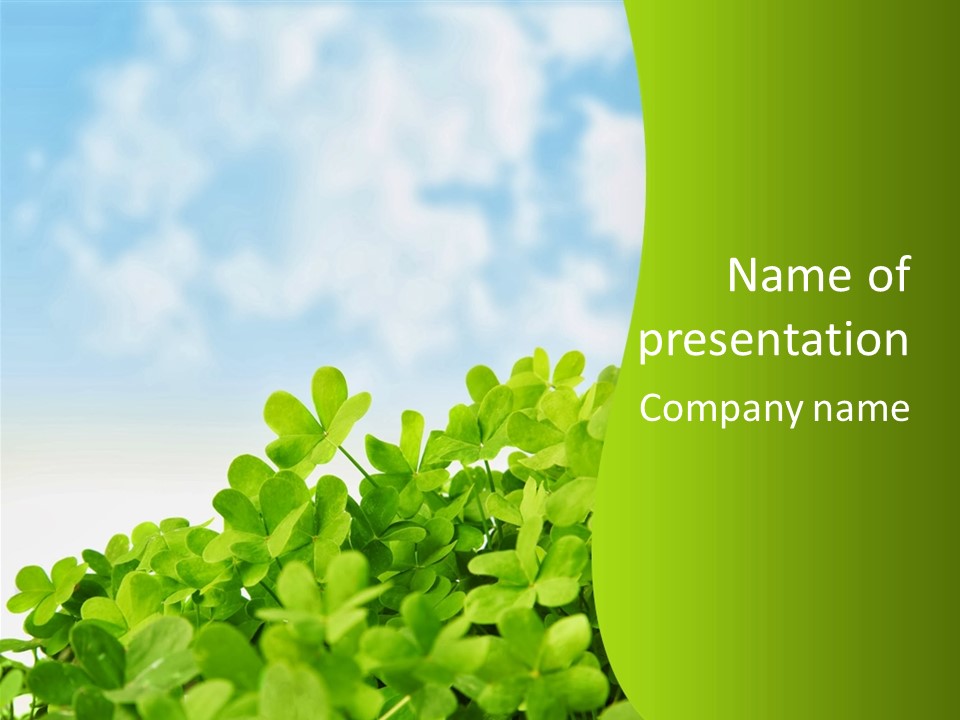 Flora Trefoil Petal PowerPoint Template