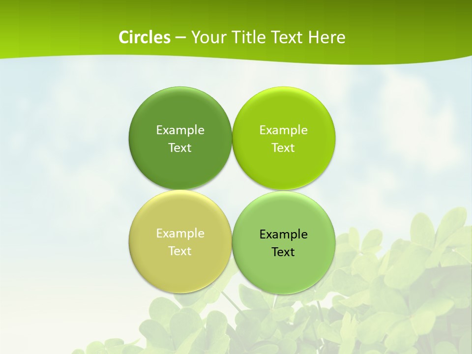 Flora Trefoil Petal PowerPoint Template