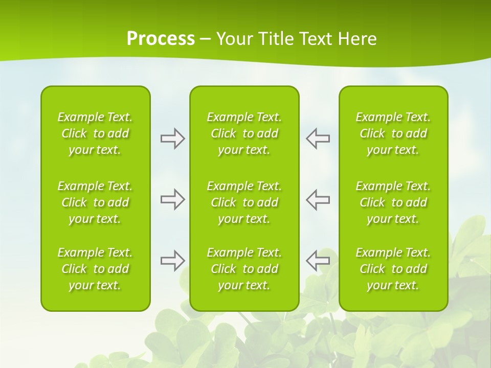 Flora Trefoil Petal PowerPoint Template