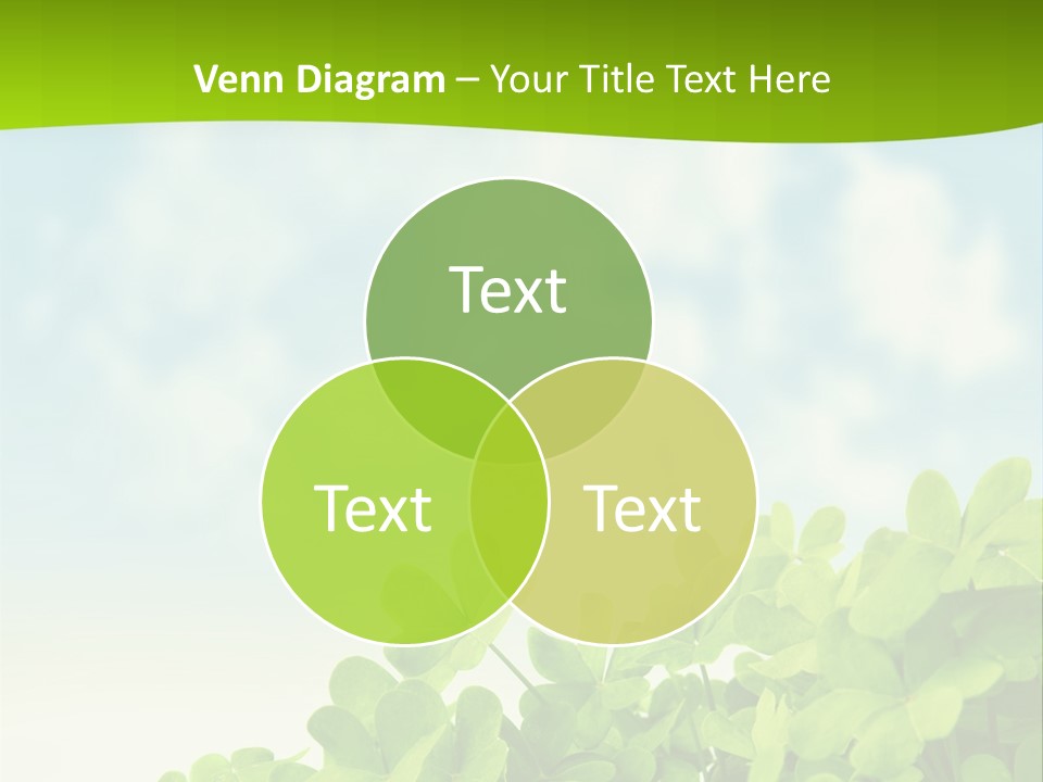 Flora Trefoil Petal PowerPoint Template