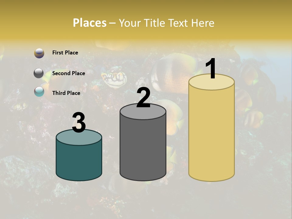 Coral Triangle Environment Coral PowerPoint Template