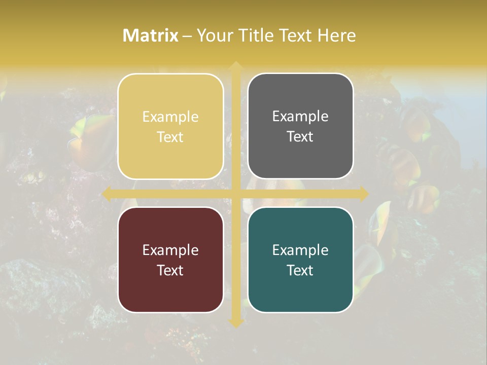 Coral Triangle Environment Coral PowerPoint Template